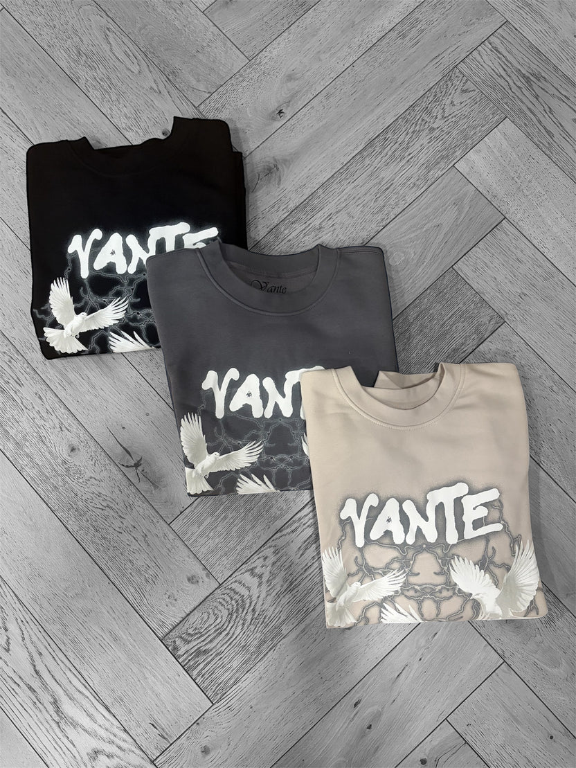 Discover Vanté – Vanté